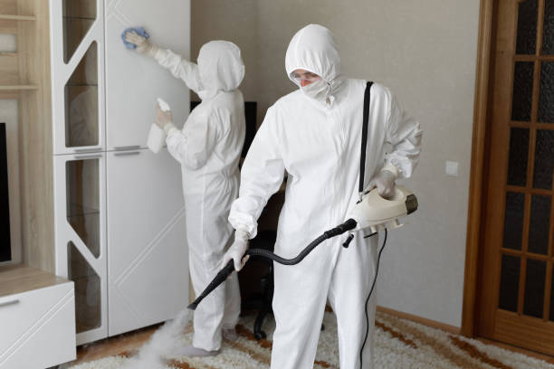 Affordable Sewage Cleanup solutions in Harpswell, ME